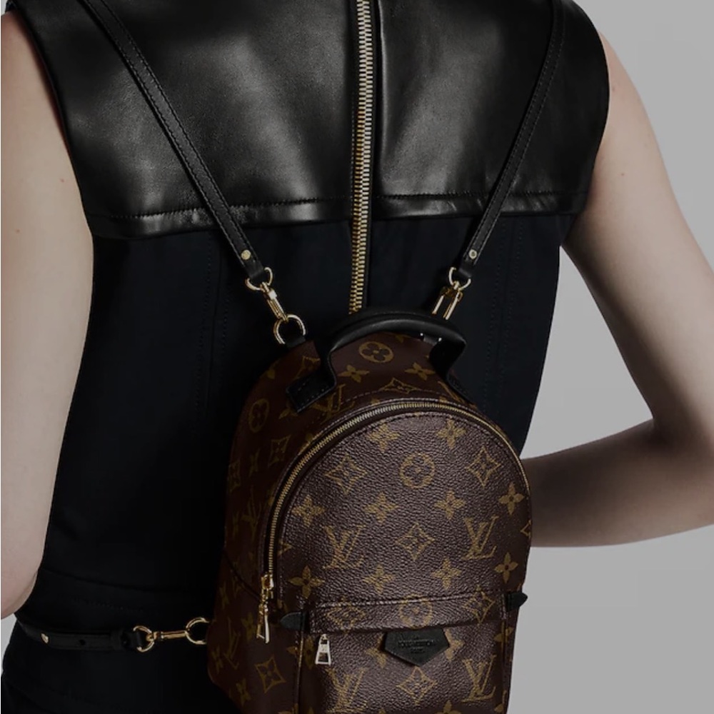 Palm Springs Mini - image 1